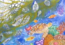 Science Without Borders